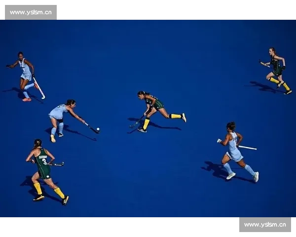 奥运赛场精彩瞬间全纪录展现运动员拼搏精神与荣耀时刻